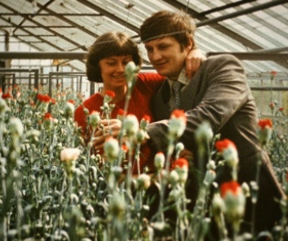 Projekt bez nazwy(6)